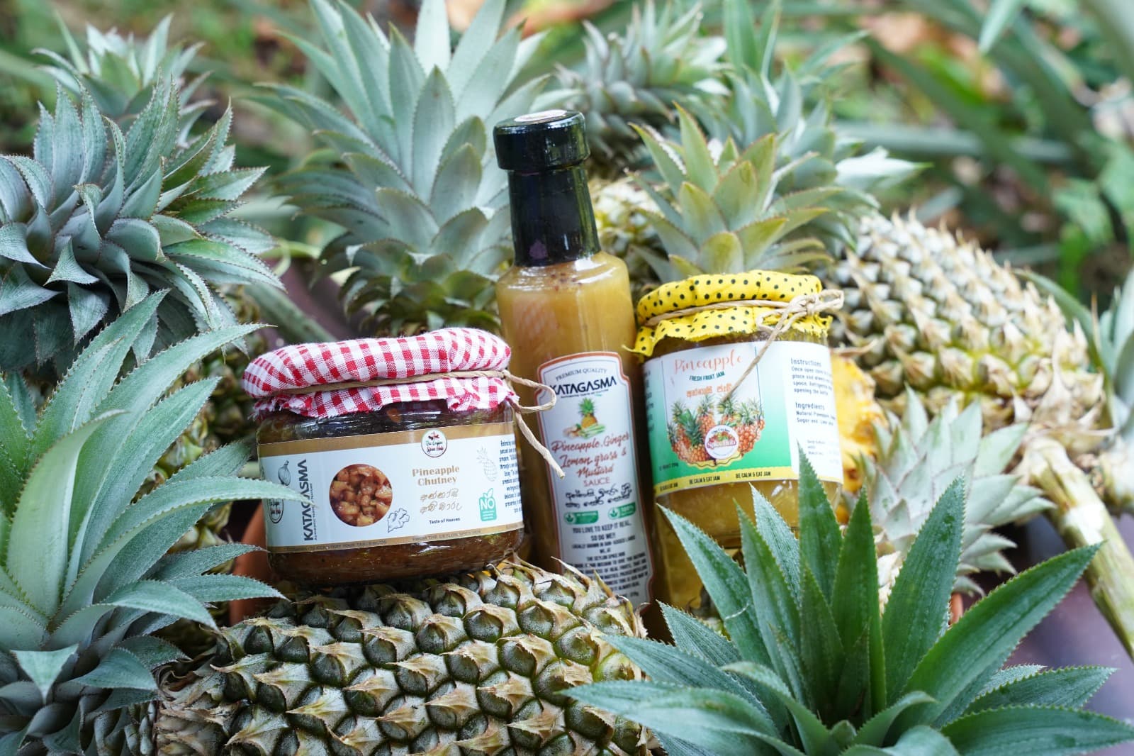 Product Catalog Page